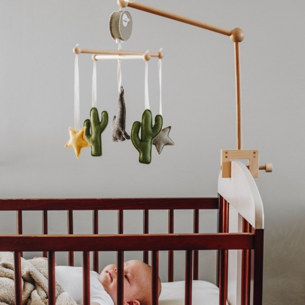 https://cdn.myshoptet.com/usr/www.kotoloc.cz/user/shop/big/58-1_hraci-kolotoc-nad-postylku-s-kaktusy.jpg?5f2d3e0a